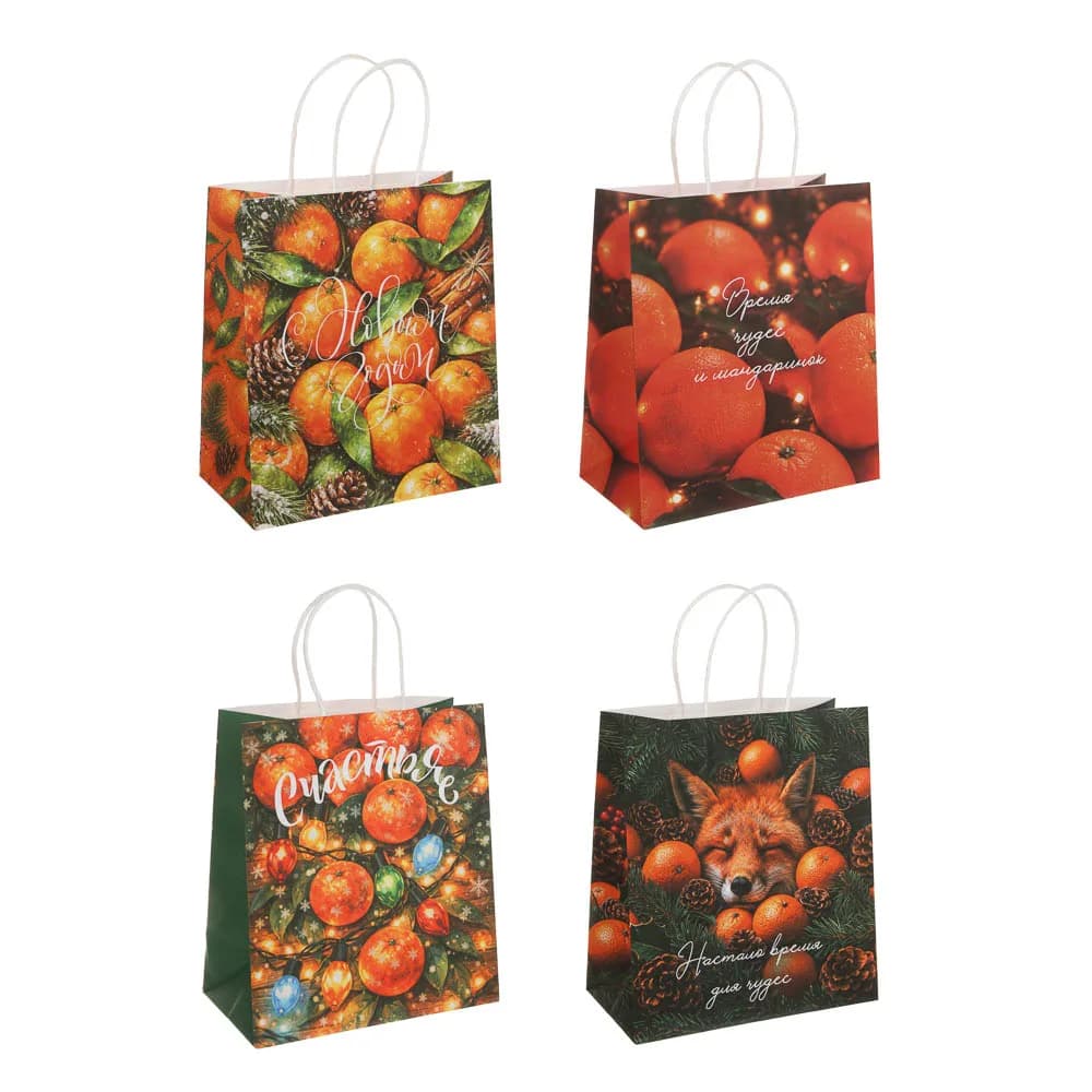 Пакет подарочный крафт СНОУ БУМ 23x26x12 см с кручеными ручками 4 диз, 150гр/м2 НГ Мандарины